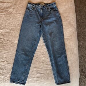 Abercrombie & Fitch Curve Love High Rise Mom Jean